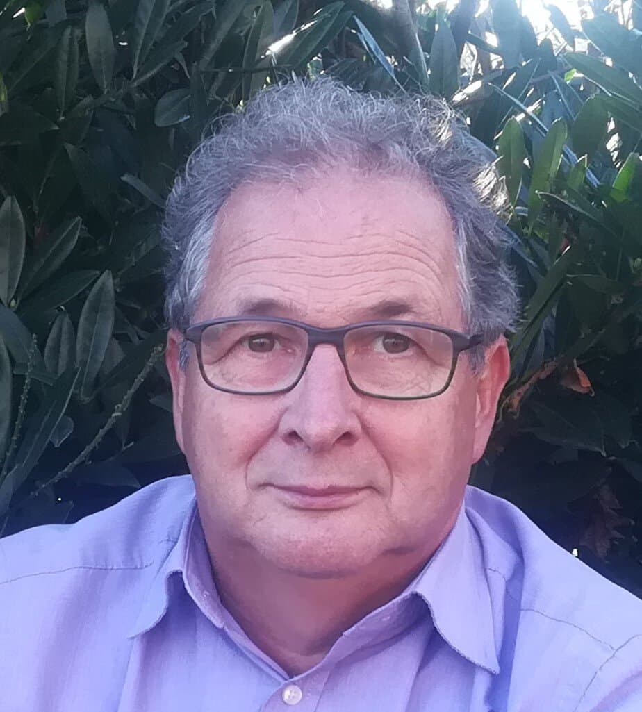 Dhr. ing. A.P. (Bram) den Hollander